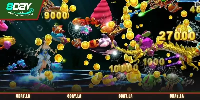 Sử dụng những bí kíp săn cá Bingo hiệu quả